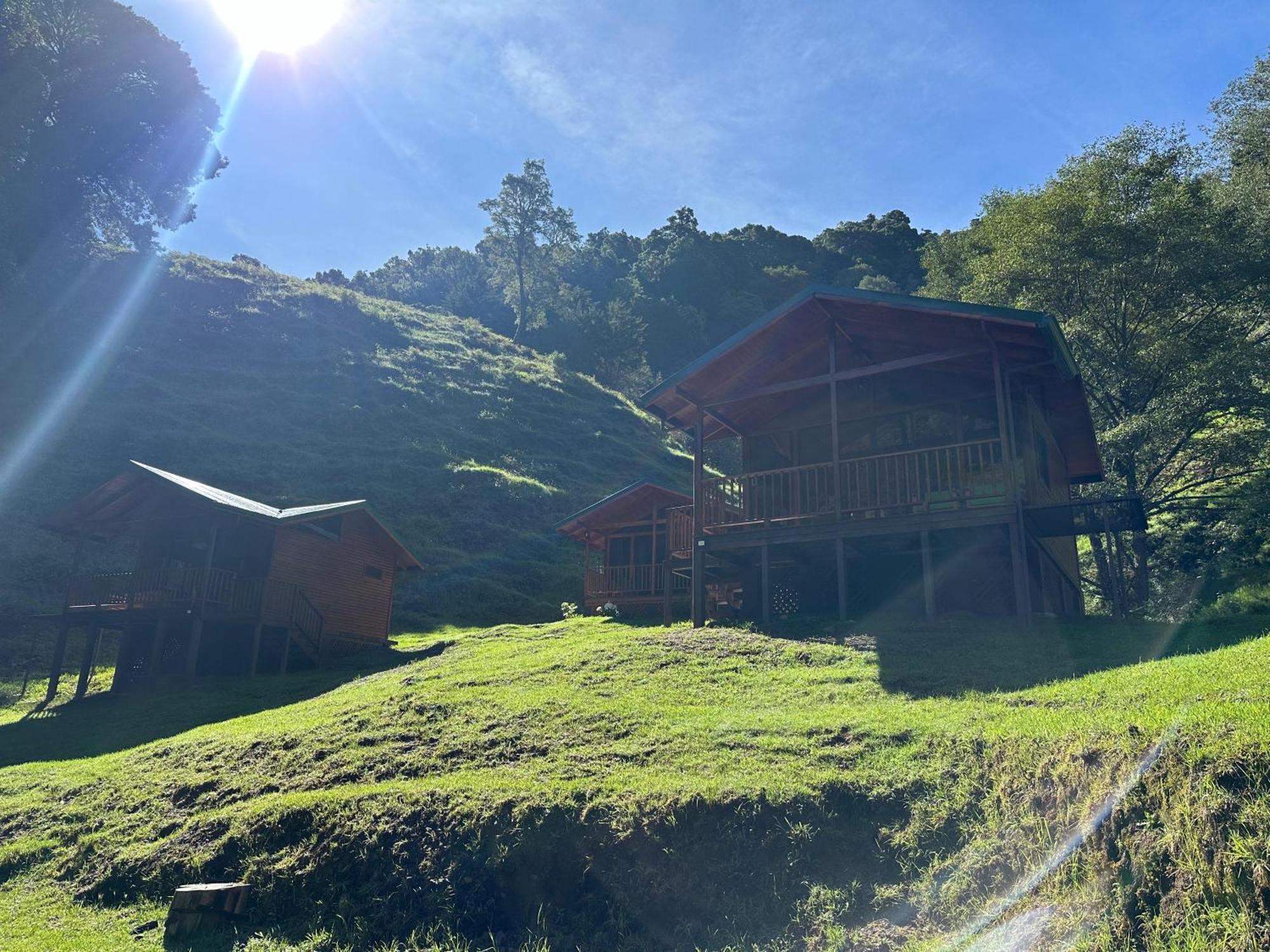 Entre Arboles Lodge San Gerardo de Dota Εξωτερικό φωτογραφία