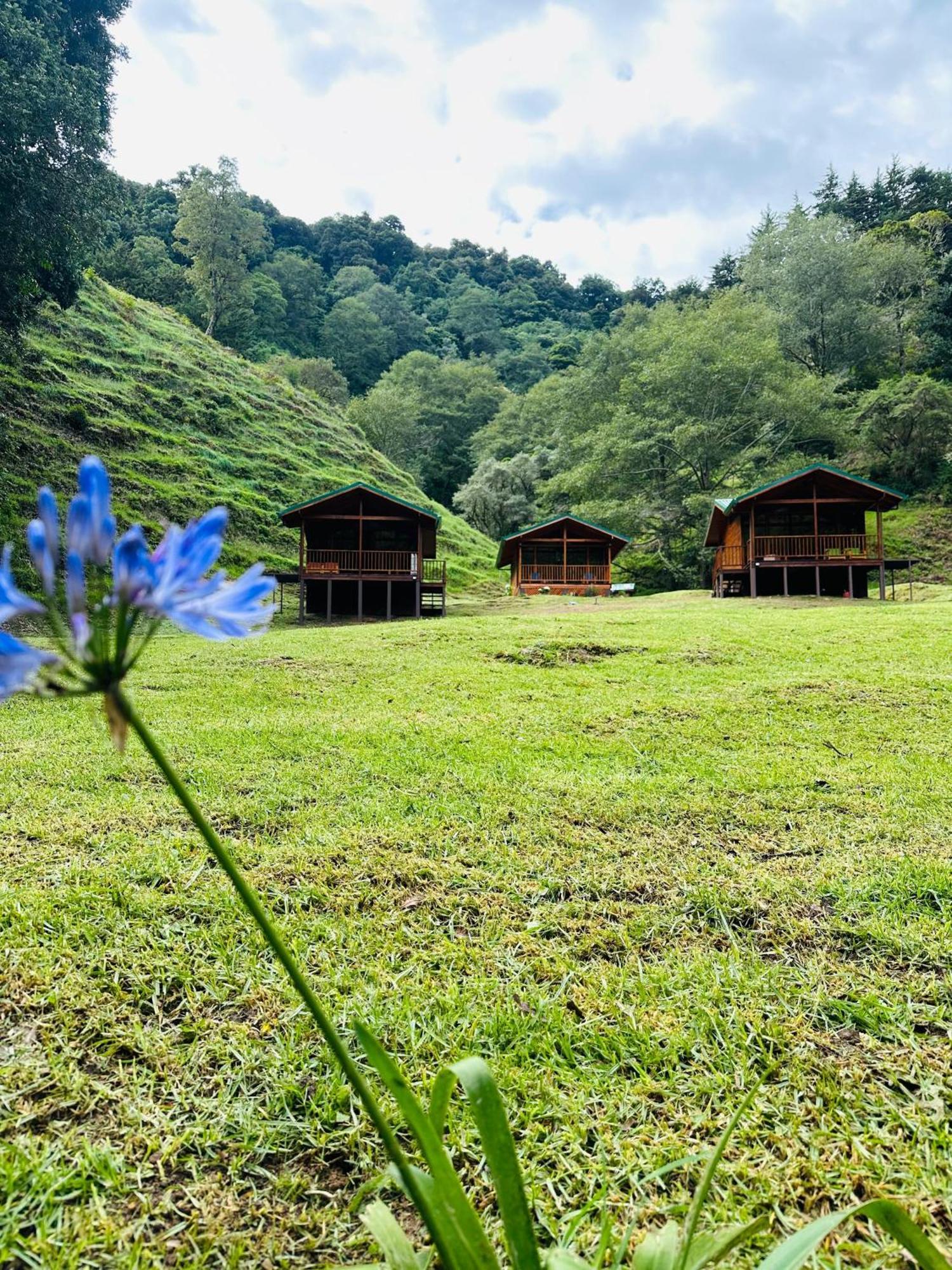 Entre Arboles Lodge San Gerardo de Dota Εξωτερικό φωτογραφία