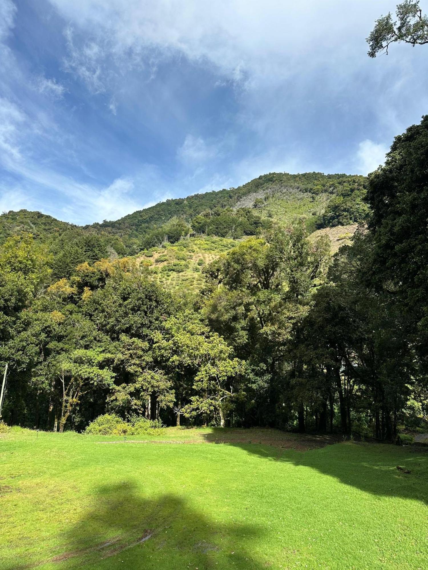 Entre Arboles Lodge San Gerardo de Dota Εξωτερικό φωτογραφία