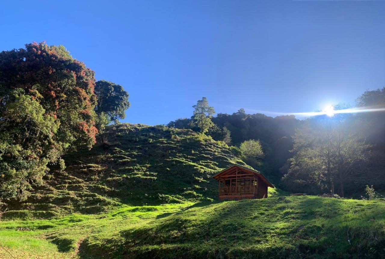 Entre Arboles Lodge San Gerardo de Dota Εξωτερικό φωτογραφία