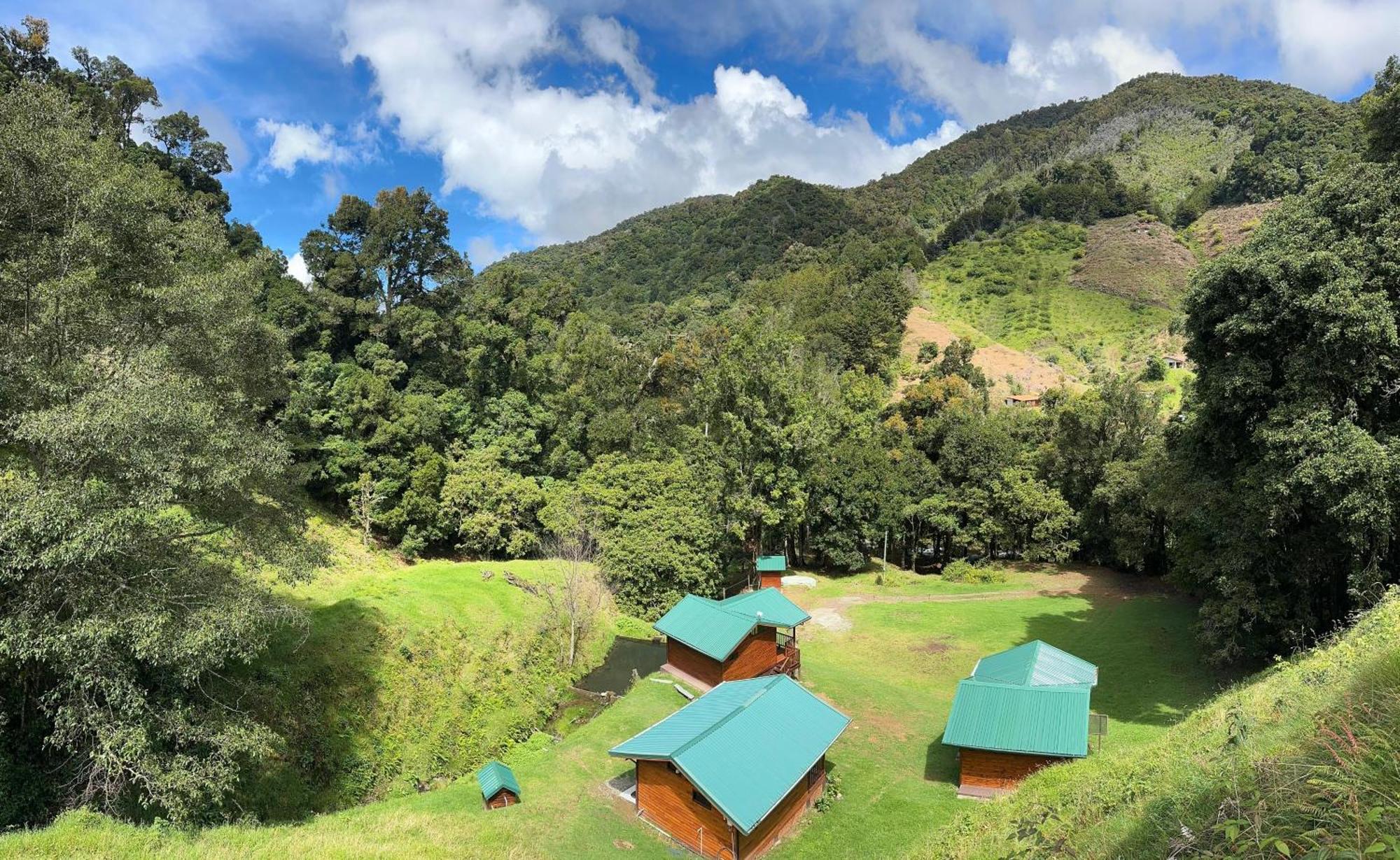 Entre Arboles Lodge San Gerardo de Dota Εξωτερικό φωτογραφία