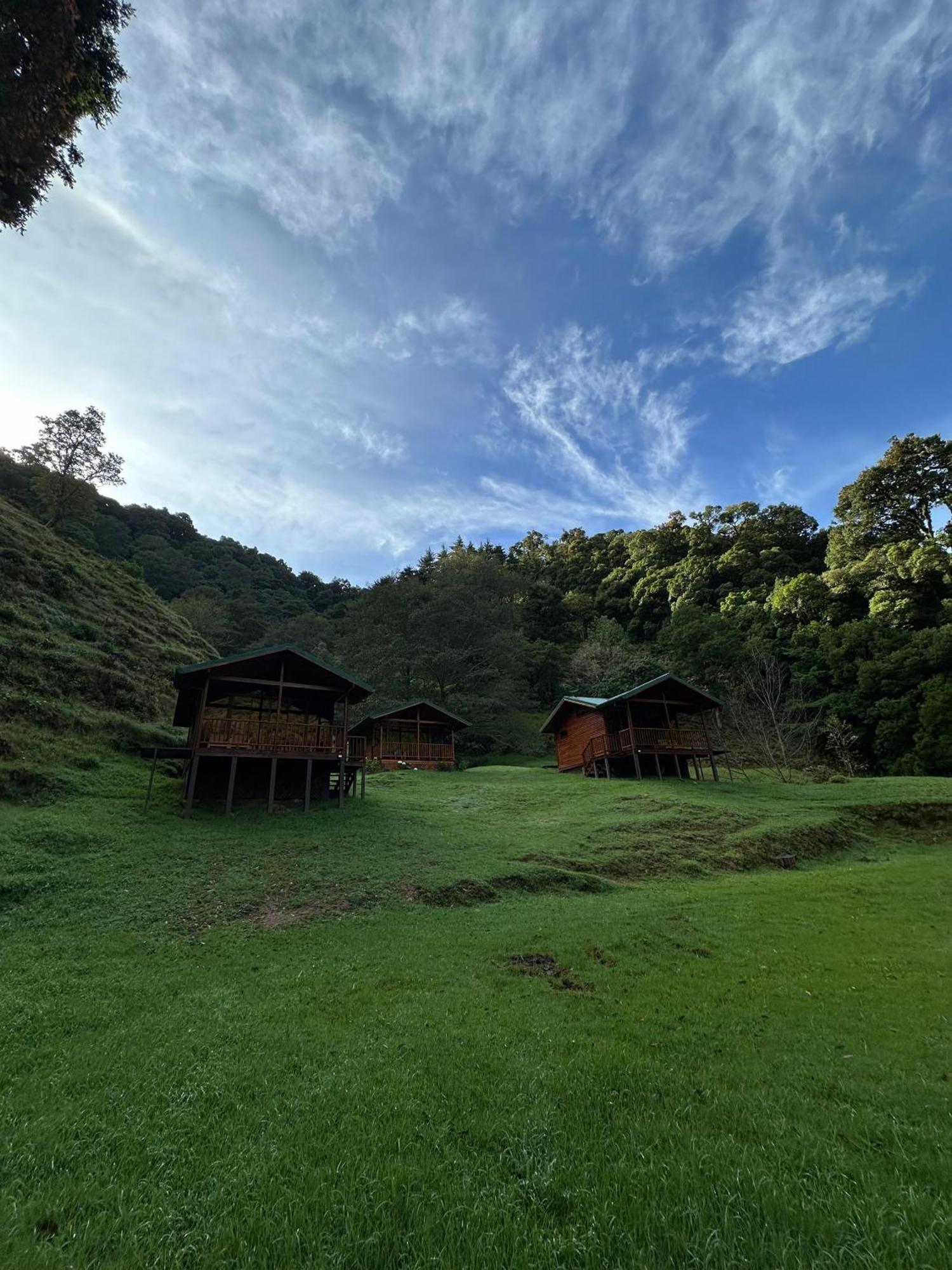 Entre Arboles Lodge San Gerardo de Dota Εξωτερικό φωτογραφία