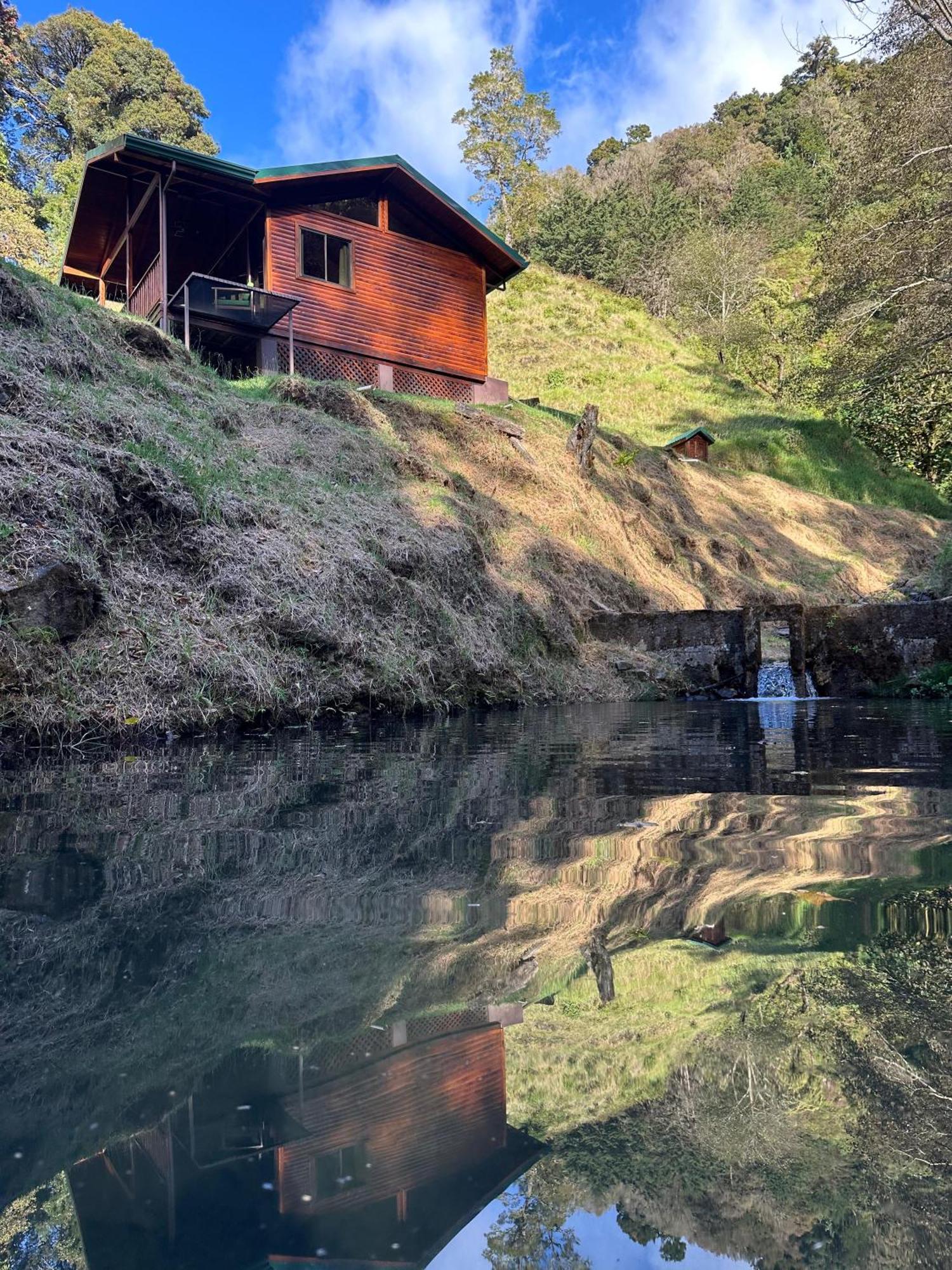 Entre Arboles Lodge San Gerardo de Dota Εξωτερικό φωτογραφία