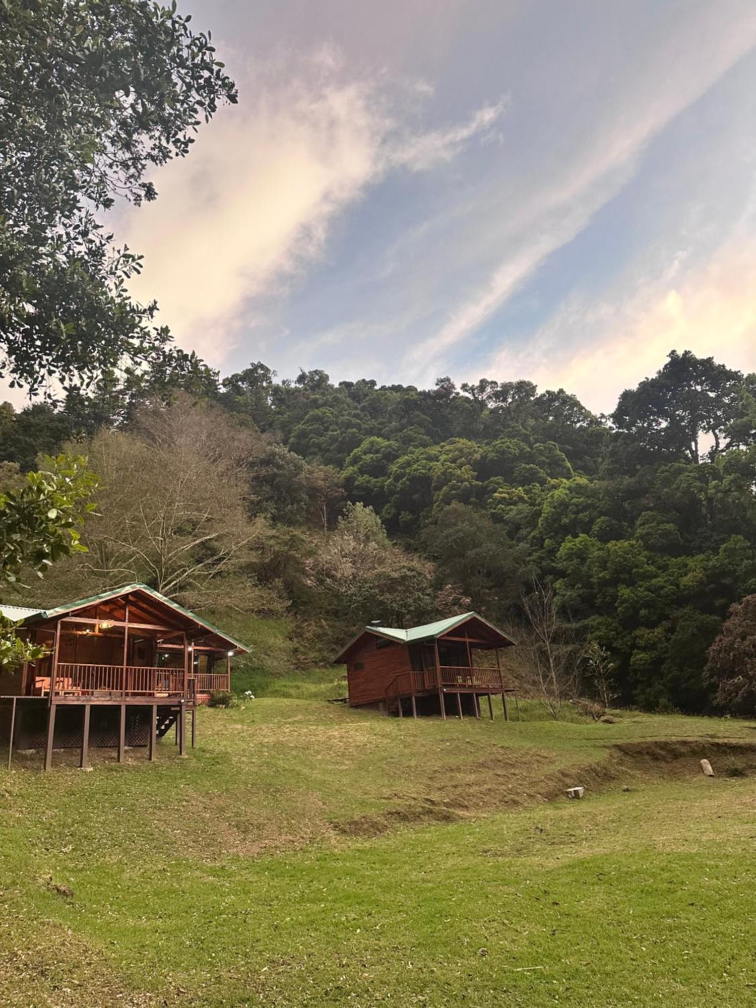 Entre Arboles Lodge San Gerardo de Dota Εξωτερικό φωτογραφία