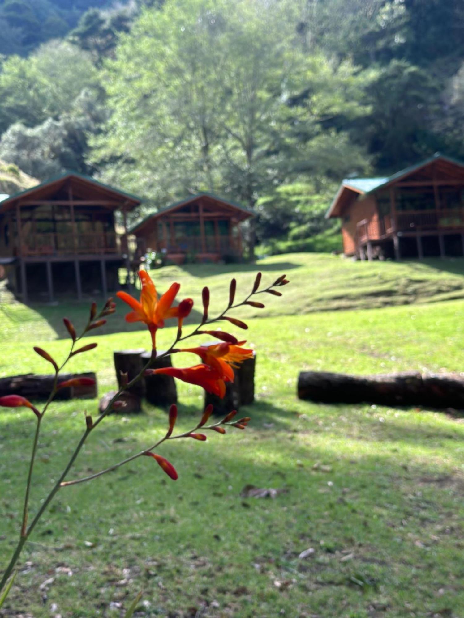Entre Arboles Lodge San Gerardo de Dota Εξωτερικό φωτογραφία