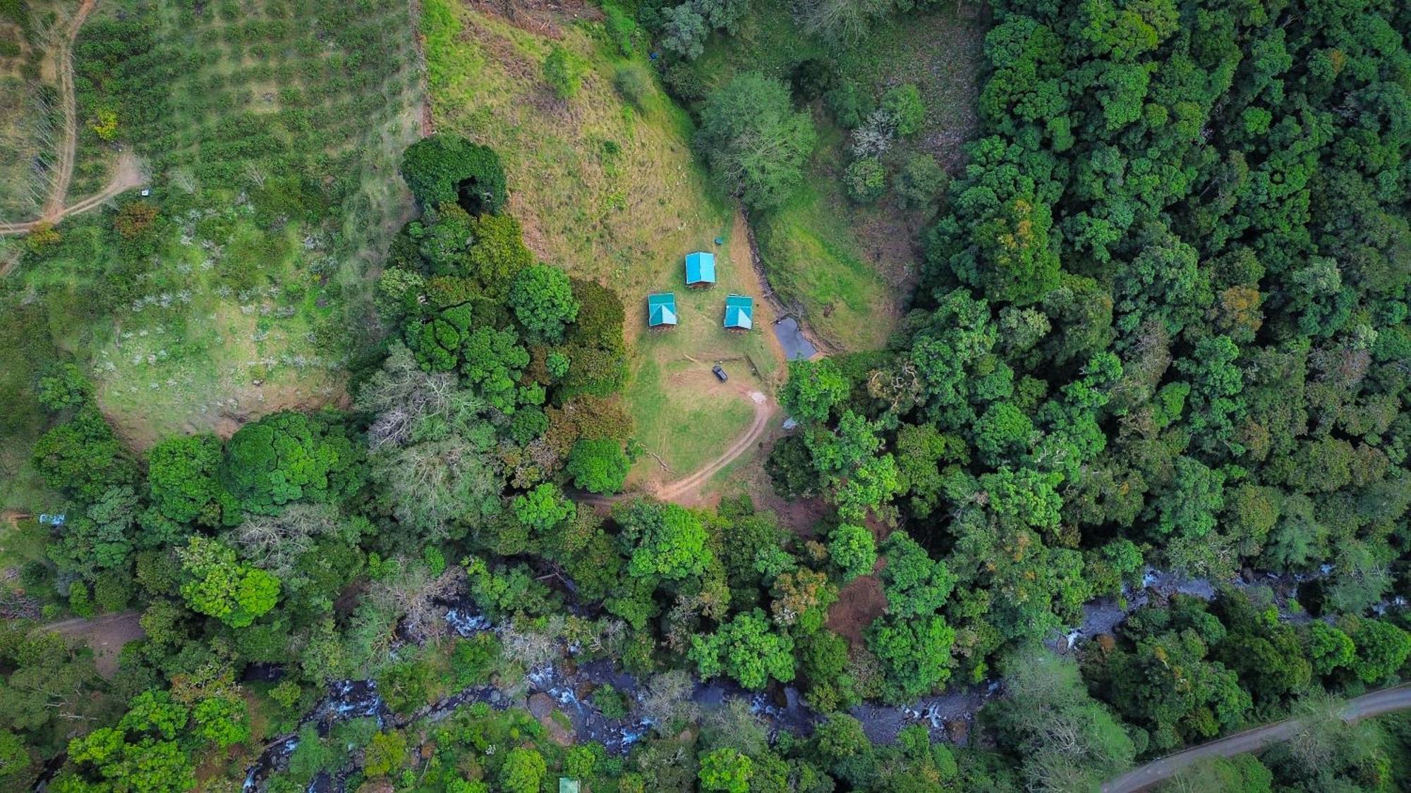 Entre Arboles Lodge San Gerardo de Dota Εξωτερικό φωτογραφία