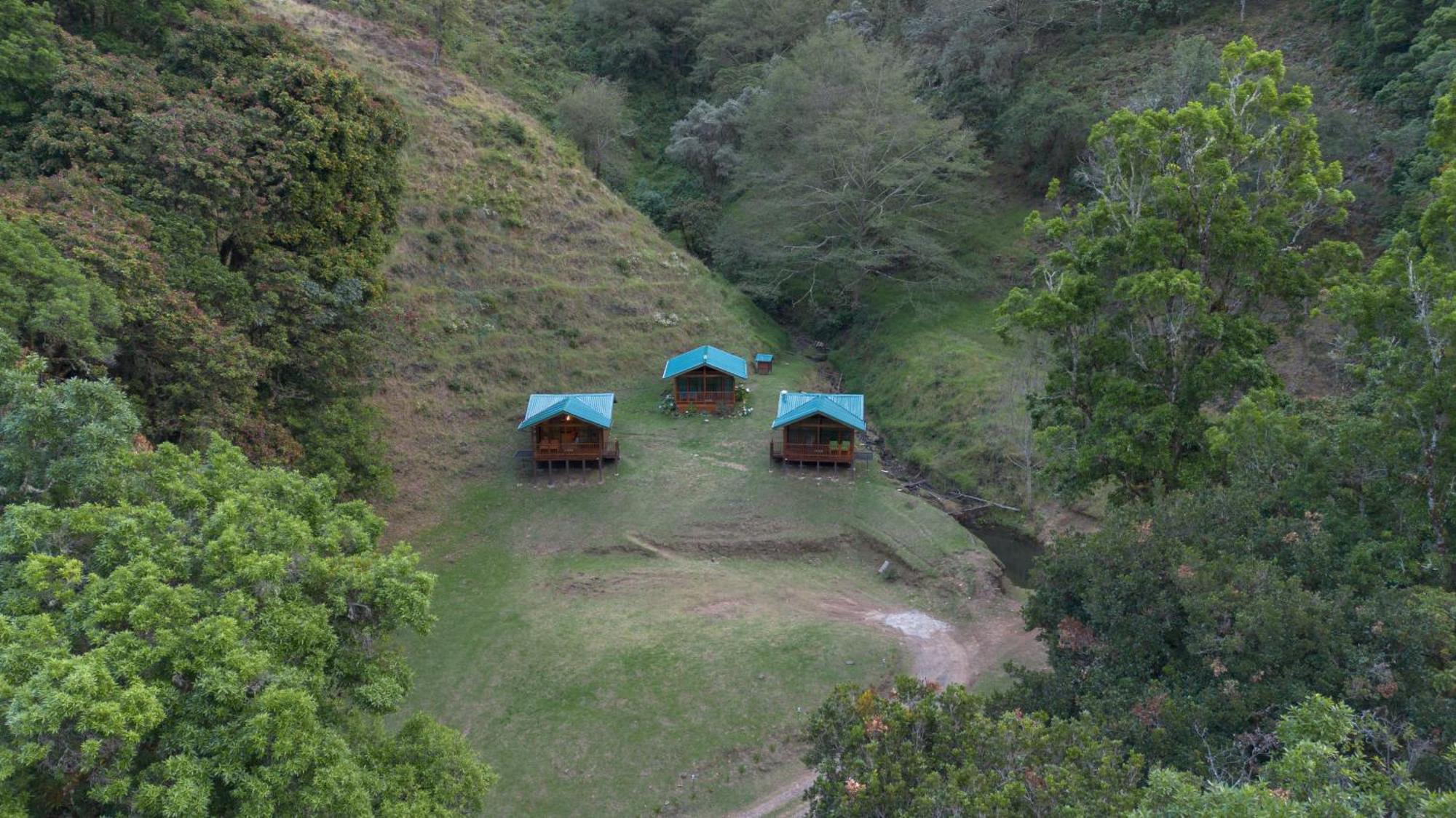 Entre Arboles Lodge San Gerardo de Dota Εξωτερικό φωτογραφία