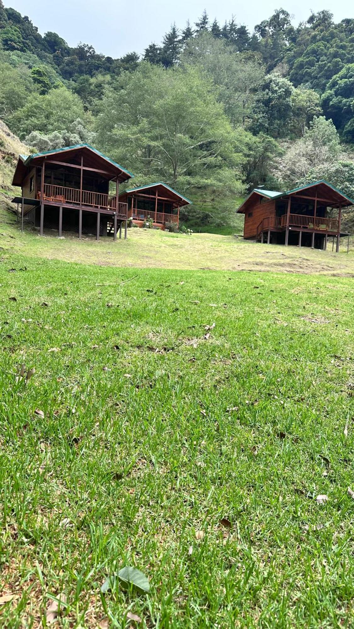 Entre Arboles Lodge San Gerardo de Dota Εξωτερικό φωτογραφία