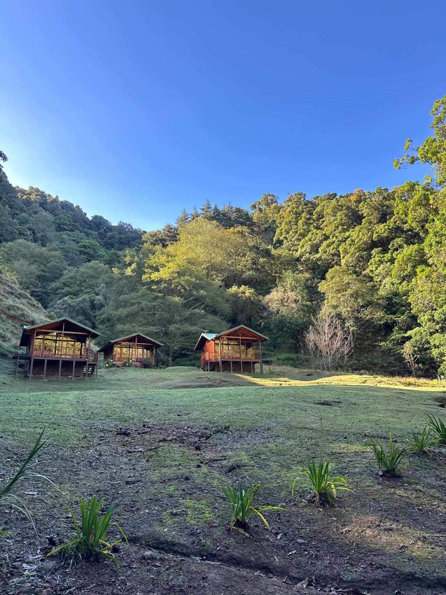 Entre Arboles Lodge San Gerardo de Dota Εξωτερικό φωτογραφία
